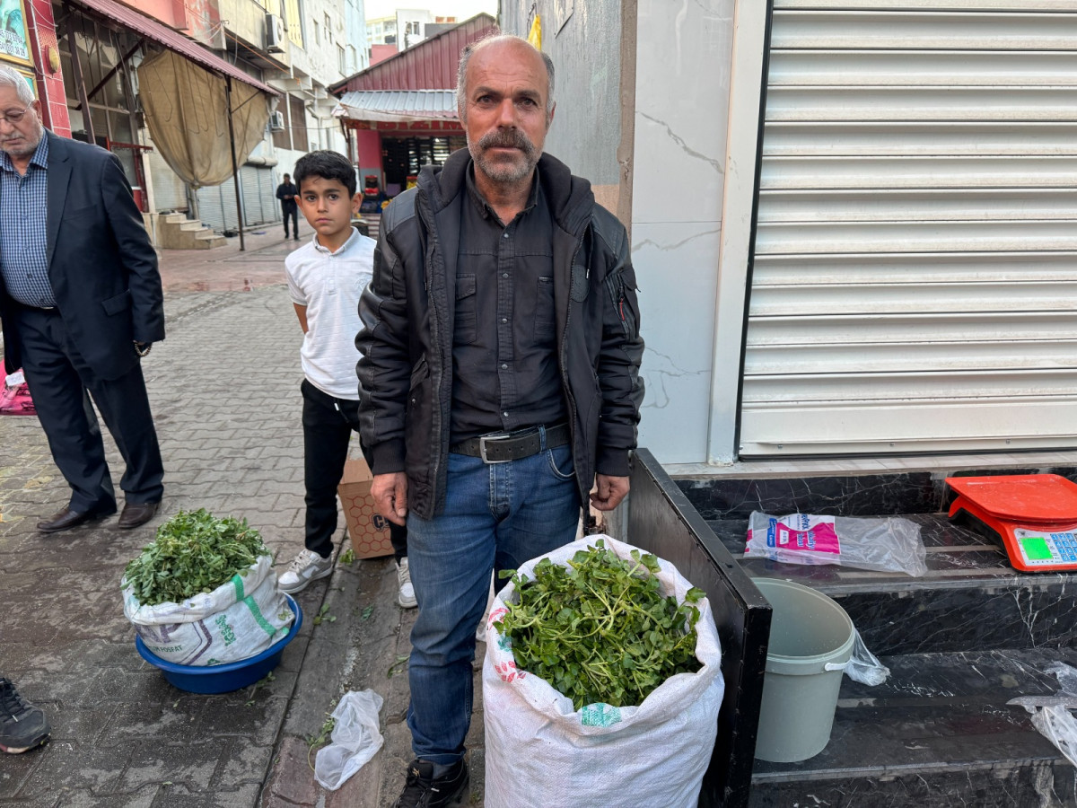 Kurtalan'da doğal ortamda yetişen, elle toplanan şifa kaynağı satışta