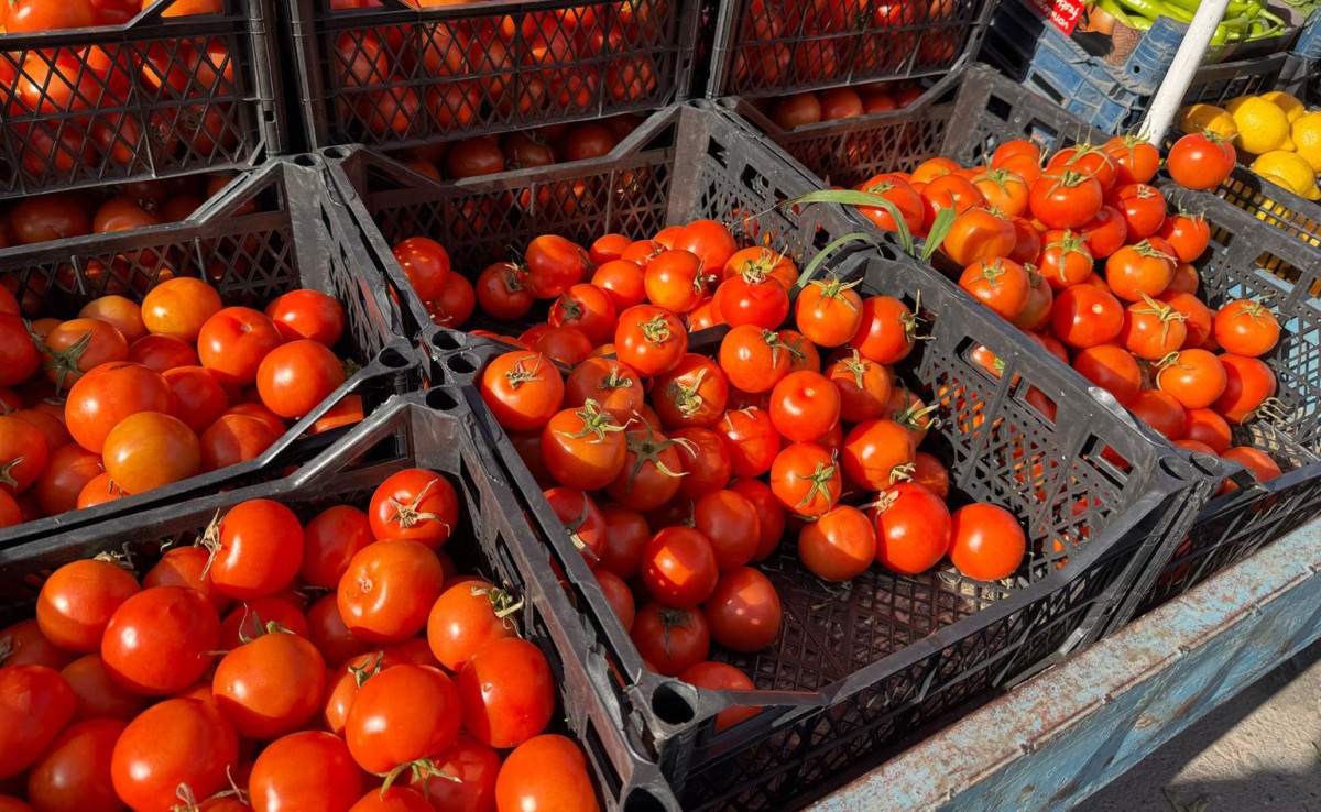 Kurtalan'da domatese Ramazan zammı!