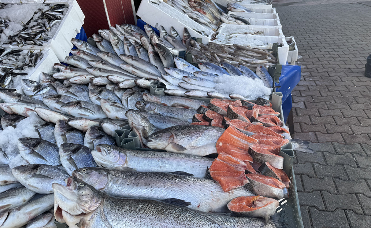Kurtalan’da et alamayan balık alıyor! İşte fiyatlarda son durum
