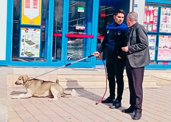 Kurtalan’da Saldırgan Köpek Şikayeti Zabıtayı Harekete Geçirdi