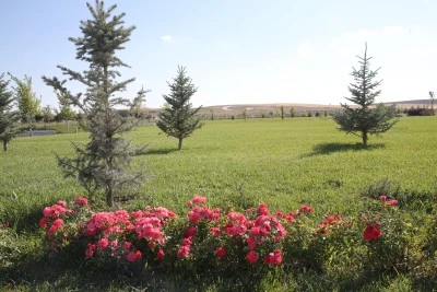 Malazgirt Zaferi kutlamalarının yapılacağı parka 1071'er çiçek ve fidan dikildi