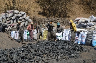 Mangal kömürü üreticileri hem havanın hem de ateşin sıcaklığıyla mücadele ediyor