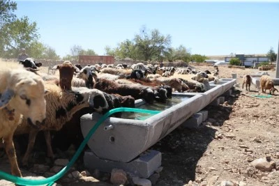 Mardin'de 5 ilçeye 330 sıvat dağıtıldı