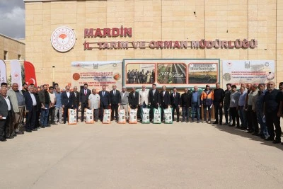 Mardin'de çiftçilere yüzde 75'i hibeli nohut ve mercimek tohumu dağıtıldı