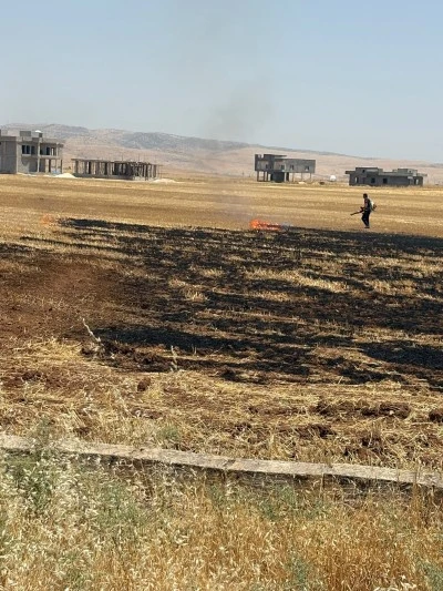 Mardin'de &ccedil;ıkan anız yangını s&ouml;nd&uuml;r&uuml;ld&uuml;