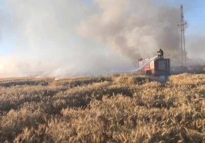 Mardin'de çıkan yangınlarda 155 dönüm buğday ekili alan zarar gördü