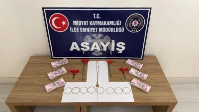 Mardin'de hırsızlık yaptıkları iddiasıyla 5 şüpheli yakalandı