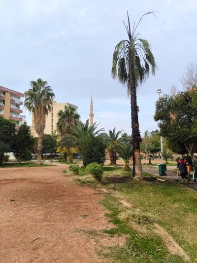 Mardin'de iki parktaki ağaç ve kamelyalara zarar verildi