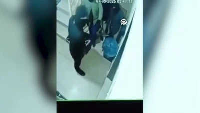 Mardin'de maskeli 4 kişinin bir evin kapısını balta ve çekiçle kırması kamerada