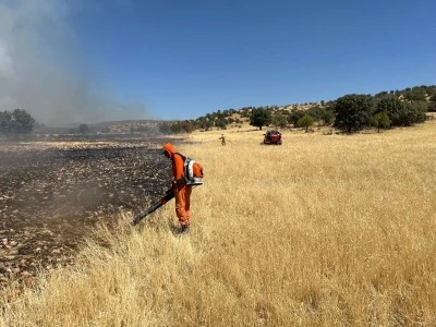 Mardin'de ormanlık alanda çıkan yangın kontrol altına alındı