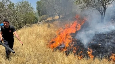Mardin'de ormanlık alanda çıkan yangın söndürüldü