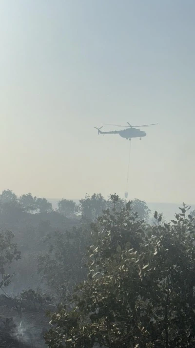 Mardin'de ormanlık alanda çıkan yangına müdahale ediliyor
