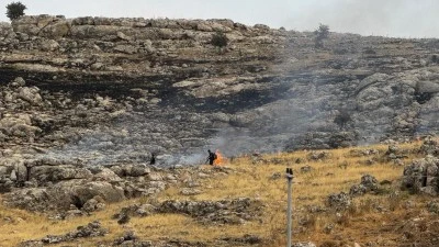 Mardin'de otluk alanda çıkan yangını söndürüldü