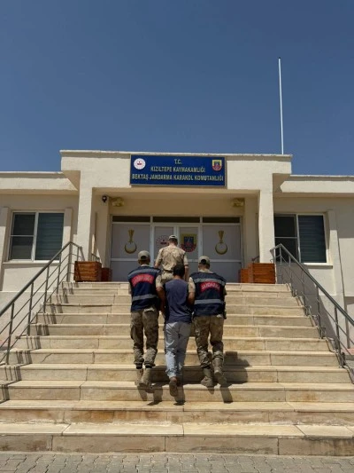 Mardin'de &quot;hayvanların kısırlaştırılmasına&quot; ilişkin uygunsuz paylaşımda bulunan şüpheli gözaltına alındı