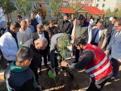 Mardin'de &quot;Türkiye Yeşeriyor, Gazze Güçleniyor Projesi&quot; kapsamında fidan dikildi