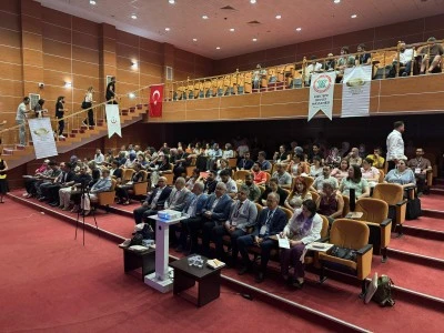 Mardin'de sağlık çalışanlarına sterilizasyon ve dezenfeksiyon eğitimi verildi