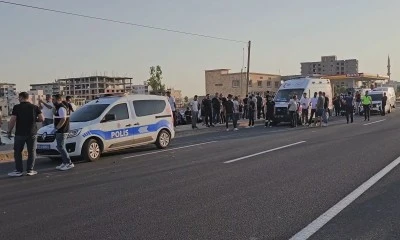 Mardin'de tırın &ccedil;arptığı yaya hayatını kaybetti