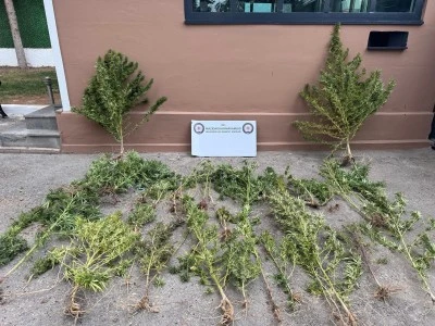 Mardin'de uyuşturucu operasyonlarında 3 şüpheli gözaltına alındı