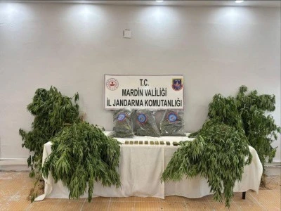 Mardin'de uyuşturucu operasyonunda yakalanan zanlı tutuklandı