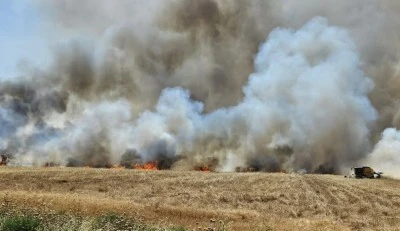 Mardin'de yaklaşık 350 dekar buğday ekili alan yandı