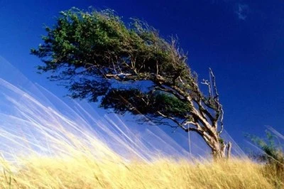 Meteorolojiden Siirt'e kuvvetli rüzgar uyarısı