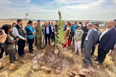 Midyat'ta fidanlar toprakla buluşturuldu