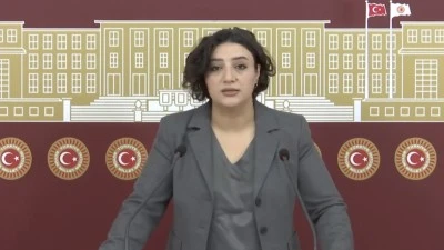 Milletvekili Sarıtaş TBMM’de Siirt’in Kronik Sorunlarını Anlattı