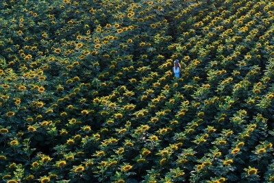 Mozaik sanatçısı ayçiçeği tutkusunu kıyafetine ve takısına yansıttı