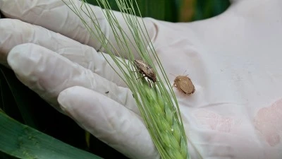 O Tehlikeye Karşı Siirt Dahil 11 İl Diyarbakır’da Toplandı