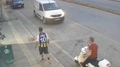 Samsun'da kediye tekme atan ş&uuml;pheli tutuklandı