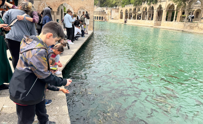Şanlıurfa'daki Balıklıgöl'de bayram yoğunluğu