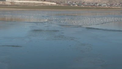 Sıhke G&ouml;l&uuml;'n&uuml;n y&uuml;zeyi kısmen buzla kaplandı