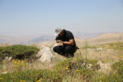 Siirt Adını Taşıyan Endemik Bitki D&uuml;nyada Sadece 300 Metrekarelik Alanda Yetişiyor