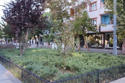 Siirt Belediyesi yeşil alanların korunması için adım attı!