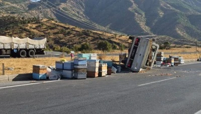 Siirt-Bitlis yolunda arı kovanı y&uuml;kl&uuml; kamyonet devrildi!