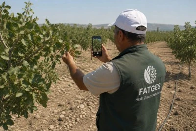 Siirt fıstığı &uuml;retiminde yapay zeka d&ouml;nemi başlıyor