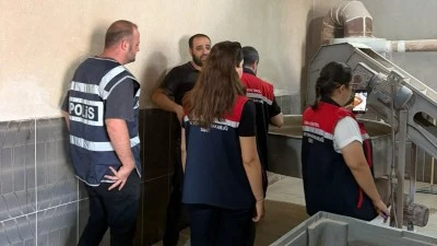 Siirt fıstığında gıda boyası ve renklendirici denetimi