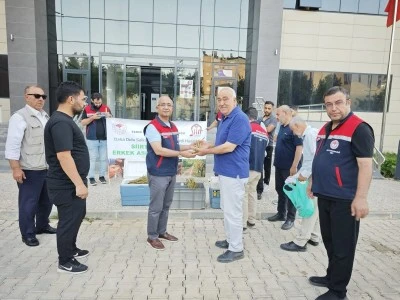 Siirt Fıstığında Verim Kaybına &Ccedil;&ouml;z&uuml;m: &Uuml;reticilere Erkek Aşı Kalemi Desteği Başladı