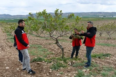 Siirt Fıstığıyla Batman’da Tarımsal Dönüşüm!