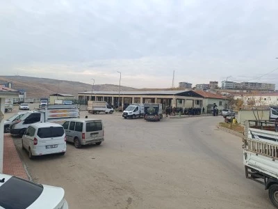Siirt Hayvan Pazarı Yeniden Açıldı