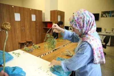 Siirt'in Coğrafi İşaretli &Uuml;r&uuml;n&uuml; &Ccedil;alışmayla Koruma Altına Alınıyor