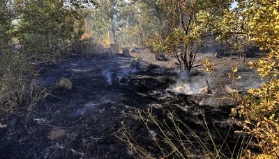Siirt'in komşu ilinde mezarlıkta &ccedil;ıkan yangın kontrol altına alındı