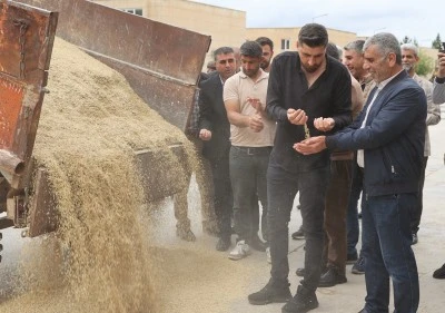 Siirt'in komşu ilinde sezonun ilk arpa hasadı yapıldı