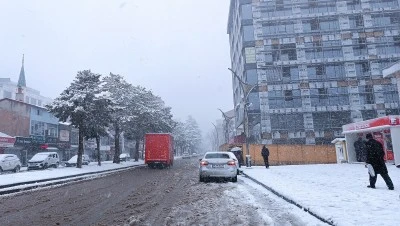 Siirt'in komşu illerinde kar etkili oldu