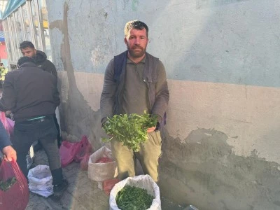 Siirt&rsquo;in Kurtalan İl&ccedil;esinde Doğal Olarak Yetişen Faydası Saymakla Bitmeyen, Su Teresi Tezgahlardaki Yerini Aldı