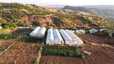 Siirt'in "sera k&ouml;y&uuml;"nde &uuml;retim alanı genişliyor