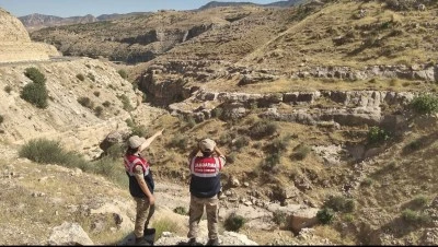 Siirt Kırsalında Yaralı Yırtıcı Kuşlar Koruma Altına Alındı