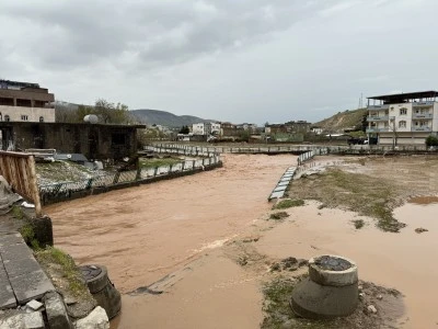 Siirt Kurtalan&rsquo;da sağanak sele yol a&ccedil;tı! 95 k&uuml;&ccedil;&uuml;kbaş hayvan telef oldu
