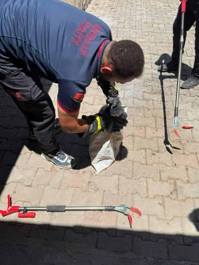 Siirt Kurtalan'da şaşırtan g&ouml;r&uuml;nt&uuml;: Yılan, başka bir yılanı yerken g&ouml;r&uuml;ld&uuml;