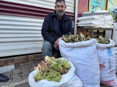 Siirt Kurtalan&rsquo;da &ldquo;Yayla Muzu&rdquo; Tezgahlarda Yerini Aldı